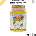 国産野バラはちみつ 瓶入 (180g) 藤井養蜂場 藤井 フジイ ふじい 国産蜂蜜 国産ハチミツ 【3980円以上で送料無料】