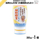 玉井さんのアルゼンチン産純粋はちみつ スタンドポリ (300g) 【クーポン配布中】 藤井養蜂場 藤井 フジイ ふじい【3980円以上で送料無料】