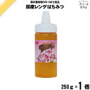 国産レンゲはちみつ ポリ容器 (250g) 【クーポン配布中】 藤井養蜂場 藤井 フジイ ふじい 国産蜂蜜 国産ハチミツ れんげ 蓮華【3980円以上で送料無料...
