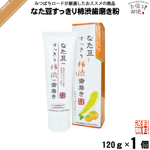 【お手軽】 なた豆すっきり柿渋歯磨き粉 （120g） 柿渋 なた豆歯磨き なたまめ歯磨き すっきり スッキリ 口臭 送料込【送料無料】【ポスカ】