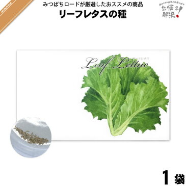 リーフレタスの種 （1袋） 【クーポン配布中】 レタス 野菜の種 種子 タネ たね 【5250円以上で送料無料】