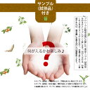 【お手軽 / 2個セット / おまけ付】 プロハーブ EM クレンジングジェル （150g） 自然派 サンプル プレゼント付 送料込【送料無料】【ポスカ】 3