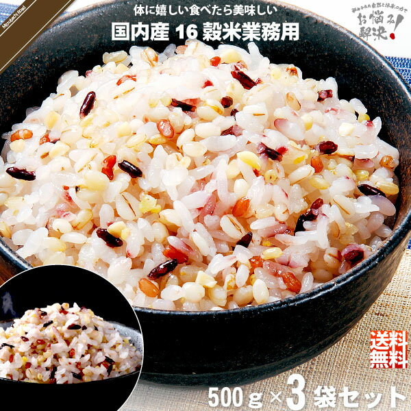 【お手軽 / 3個セット】 国内産十六穀米 業務用 (500g) 雑穀 雑穀米 16穀米 16こくまい 美味しい ポイント消化 送料込 【送料無料】【ポストカ】