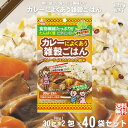 【40個セット】 カレーによくあう雑穀ごはん （30g×2） 60g 雑穀 雑穀米 美味しい 送料込 【送料無料】【ポスカ】