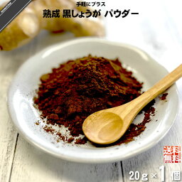 【お手軽】 熟成 黒しょうが パウダー （20g） 鹿児島県産生姜100％使用 粉末 薩摩の恵 蒸し生姜 Aging Ginger Powder 送料込【送料無料】【ポスカ】