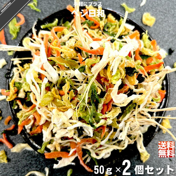 【お手軽 / 2個セット】ベジ日和 乾燥野菜（50g） 長期保存 備蓄食材 カット野菜 美味しい 送料込 【送料無料】