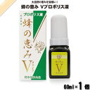 蜂の恵み ファイブ プロポリス液 (60ml) サンフローラ 送料込【送料無料】
