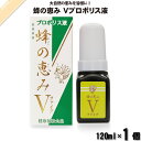 蜂の恵み ファイブ プロポリス液 (120ml) サンフローラ 送料込【送料無料】