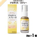 プロポリス スプレー (35ml) サンフローラ 【3980円以上で送料無料】