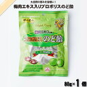 梅肉エキス入り プロポリスのど飴 ユーカリはちみつ入り (80g) サンフローラ 【3980円以上で送料無料】