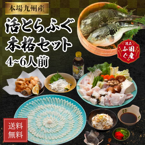 \ とらふぐ刺身ちりセット / ふぐ刺し ふぐ鍋 セット 「ふぐ鍋・刺身セット4-6人前/冷凍」とらふぐ 刺身 ふぐ皮 湯引き 鍋 ふぐひれ【送料無料】 sss