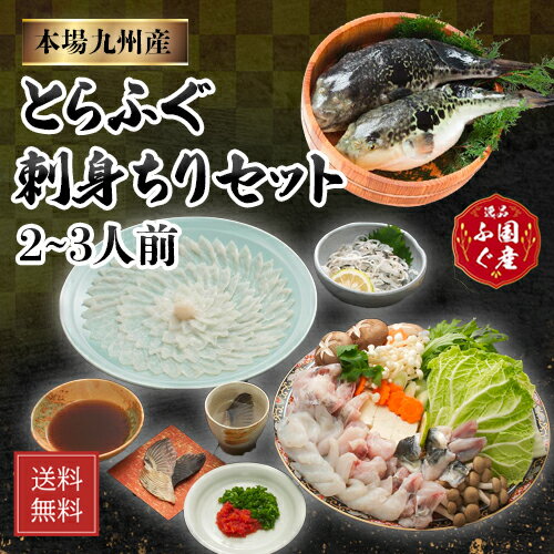 \ とらふぐ刺身ちりセット / ふぐ刺し ふぐ鍋 セット 「ふぐ鍋・刺身セット2-3人前/冷凍」とらふぐ 刺身 ふぐ皮 湯引き 鍋 ふぐひれ【送料無料】SSS