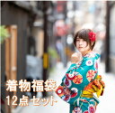 新年は着物で迎えよう あす楽対応 洗える着物 着物 大幅値下げ 着物 福袋 限定50セット販売 着物初心者にも 安心 小紋着物 12点フルセット レディース 先...
