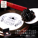 【母の日★ギフト対応可】平家キャビア 20g (ギフト箱入り) 国産 九州 宮崎 椎葉村 キャビア フレッシュキャビア プレゼント 贈答 贈り物 内祝 お返し ...