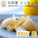【母の日★ギフト対応可】日向夏らっきょう 90g×5袋 宮崎県産 国産 都城 ふるさと納税 日向夏 柑橘 甘酢 おつまみ だれやめ 焼酎 日本酒 ご飯のお供 箸...