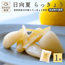 日向夏らっきょう 90g×1袋 宮崎県産 国産 都城 ふるさと納税 日向夏 柑橘 甘酢 おつまみ だれやめ 焼酎 日本酒 ご飯のお供 さわやか あっさり 着色料...