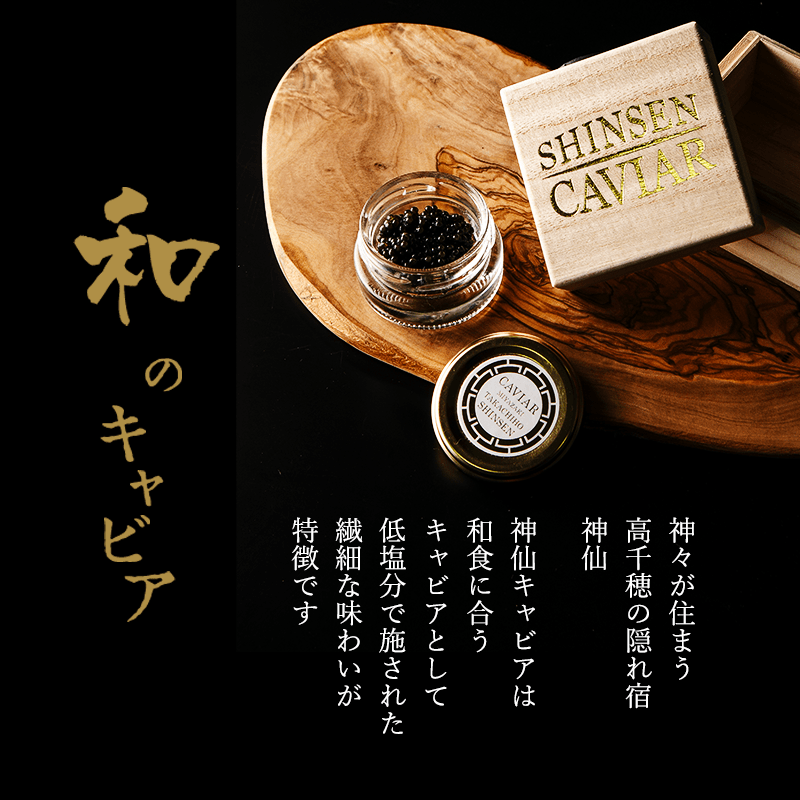 �ڥХ�󥿥����ߥ��ե��б��ġۿ��祭��ӥ� 10g (���եȤ˺�Ŭ�ʶ�Ȣ����) �� �彣 �ܺ� ������ ι�� ���� ����¼ �ե�å��奭��ӥ� �ץ쥼��� £�� £��ʪ ��� ���֤� ���ڻ� ��ǰ�� ������ ���Ĥޤ� �磻�� ����Τ��� ����� �����󤻥����