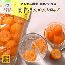 みなみハウス 完熟きんかんシロップ 1袋 300g 国産 九州 宮崎 都城 糖度18度以上 シロップ漬け 種なし 種無し グルメ 健康 栄養豊富 ビタミン ヘル...