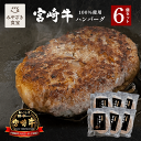 【母の日★ギフト対応可】宮崎牛 ハンバーグ 6個セット 生ハンバーグ 焼肉のさこま 牛100% 和牛 国産 手ごねハンバーグ A5ランク 自社牧場 内閣総理大臣...