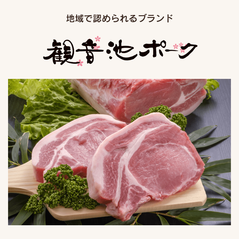 みやざき食宝の【レンジで簡単】観音池ポーク メンチカツ《個包装》朝採れ野菜 国産豚肉 冷凍ギフト 宮崎 都城｜アングル2