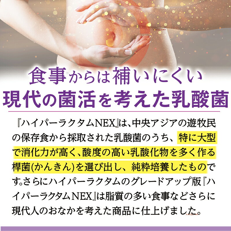 腸活 菌活 ハイパーラクタム 200mg×60カプセル NS 乳酸菌 サプリメント 共生菌 善玉菌 デキストリン 金鋒博士 モンゴル mizuhora-10000166 健康セルフケアサポートSASA-LABO サンプル画像3