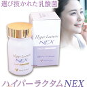 腸活 菌活 ハイパーラクタム NEX ネックス 200mg×60カプセル NS 乳酸菌 サプリメント 共生菌 善玉菌 デキストリン 金鋒博士 モンゴル