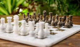 チェスセット RADICALn White and Grey Oceanic Handmade Weighted Marble Popular Classic Staunton Tournament Chess Set - Ambassador Gift Style Logic Play Board Chess Game 【並行輸入品】