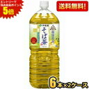 エントリーで全品ポイント5倍★期間限定特価【送料無料】伊藤園 伝承の健康茶 健康焙煎 そば茶 2Lペットボトル 12本(6本×2ケース) 韃靼そば茶 普通そば ...