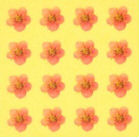 さくら・桜（2）【和風（お正月・成人式）ネイルシール】/1シート16枚入