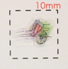 牛車（1）【和柄（お正月・成人式・着物）ネイルシール】3種類/1シート9枚入