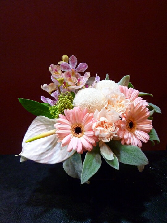 �����٥� �ԥ�ݥ�ޥ� �⥫�� �����͡������ ���󥹥�塼�� �����ߥ� ��ॺ���䡼