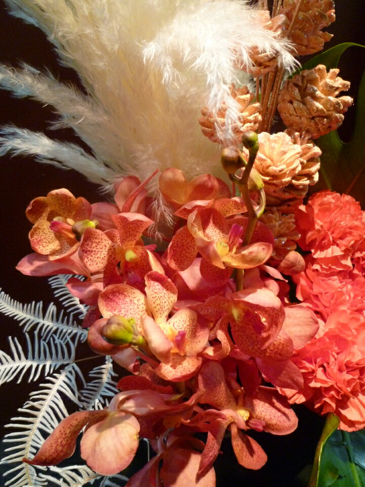 【アレンジメント】白パンパスグラス モカラ カ...の紹介画像2