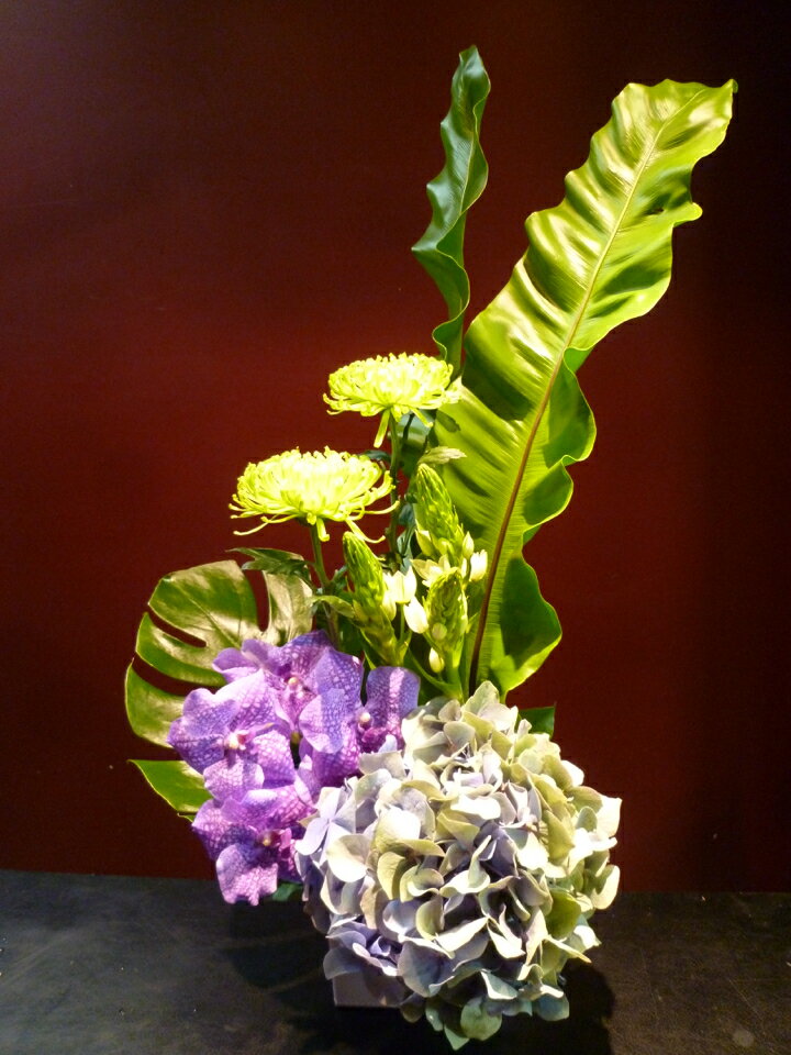 季節のアジサイ 紫陽花 蘭 バンダ オーニソガラム 菊 アナスタシア モンステラ タニワタリ
