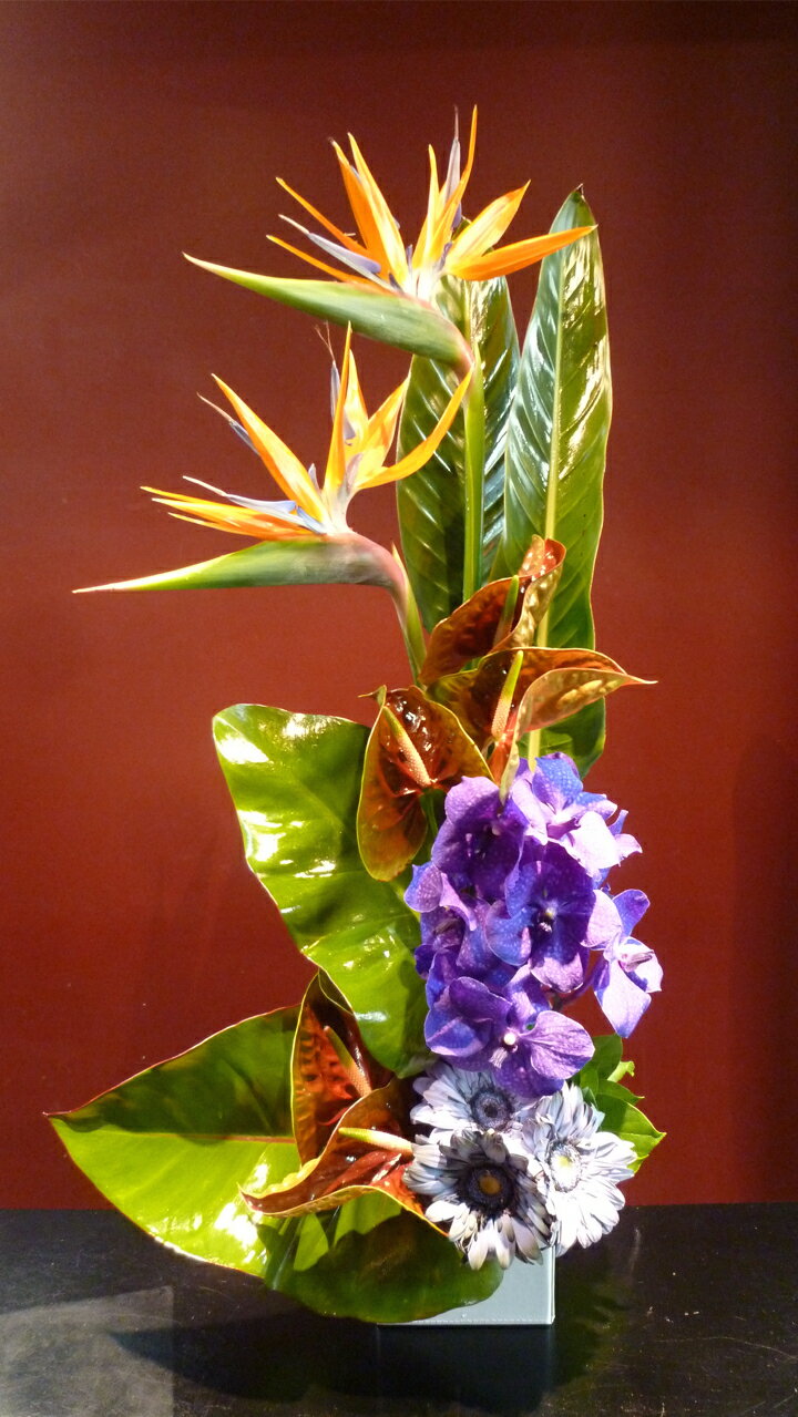 ストレチア アンスリューム バンダ ガーベラ