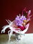 バンダ 芍薬 アンスリューム ドラセナ カニシダ