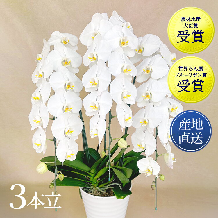 商品画像3
