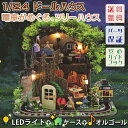 【P10倍 2点以上350円OFF 】ドールハウス 1/24 ミニチュア 手作りキット セット 電車 がめぐる ツリーハウス 森 グリーン メルヘン 童話 LEDライト アクリルケース オルゴール