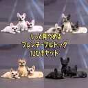 【P10倍!!】最短当日出荷◆フィギュア 置物 オーナメント どこでも じ~っと見つめる フレンチ・ブルドッグ 子犬 犬 ドッグ アソート 12匹セット (フォーン/ブリンドル (ブラック)/パイド/クリーム)/ミニ 小さい 寝姿 おすわり ふせ ブラウン リラックス