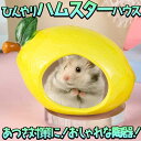 最短当日出荷◆ハムスター 小動物 ハウス 家 ベッド 陶器 ひんやり 冷たい 夏 暑さ 対策 涼しい 冷却 涼感 巣箱 レモン いちご フルーツ レッド イエロー アニマル 隠れ家 巣 リス ジャンガリアン ロボロフスキー ペット