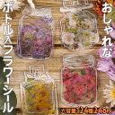 最短当日出荷◆シール フレーク ボトル 入 124種 248枚 大量セット 小さめ 透明 クリア 花 花びら 一輪 リアル 花瓶 フラワー ベース 水彩 イラス...
