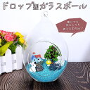 【どれでも2点以上は8%OFF】ガラス ボール 花器 花瓶 フラワー ベース テラリウム 観葉植物 幅9×高さ13cm ハンギング 吊るす 丸い 球体 ドロップ...