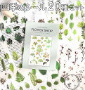 【P5倍&2点以上350円OFF!!】最短当日出荷◆シール 20種セット 春夏秋冬の花屋さん 花 フラワー 蝶 グリーン 緑 クリア 透明 PET 防水 イラスト 観葉植物 ユーカリ シダ イチョウ モンステラ カエデ キク 綿 ピンク 白 蝶々