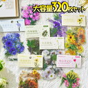 最短当日出荷◆シール ステッカー 花 大量 160種 320枚セット 透明 リアル 押し花 ヒマワリ バラ チューリップ スイセン マーガレット ラベンダー キ...