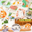 最短当日出荷◆ポストカード メッセージカード 30枚セット 30種 猫 ネコ イラスト 可愛い 絵本 童話 段ボール 花 夏 金魚 ひまわり 桜 黒猫 黒白/し...