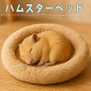 最短当日出荷◆ハムスター 鳥 インコ リス フクロモモンガ ペット 小動物 ハウス ベッド 家 小屋 寝床 隠れ家 おうち クッション ベージュ ふわふわ もこ...