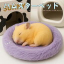 【P10倍!!】最短当日出荷◆ゴールデン ハムスター キンクマ 鳥 インコ リス ペット 小動物 ハウス ベッド 家 小屋 寝床 隠れ家 おうち クッション パープル ふわふわ もこもこ 直径 14cm お皿型 小さい ミニ 暖か 防寒 通年 春夏 秋冬 冷え 対策