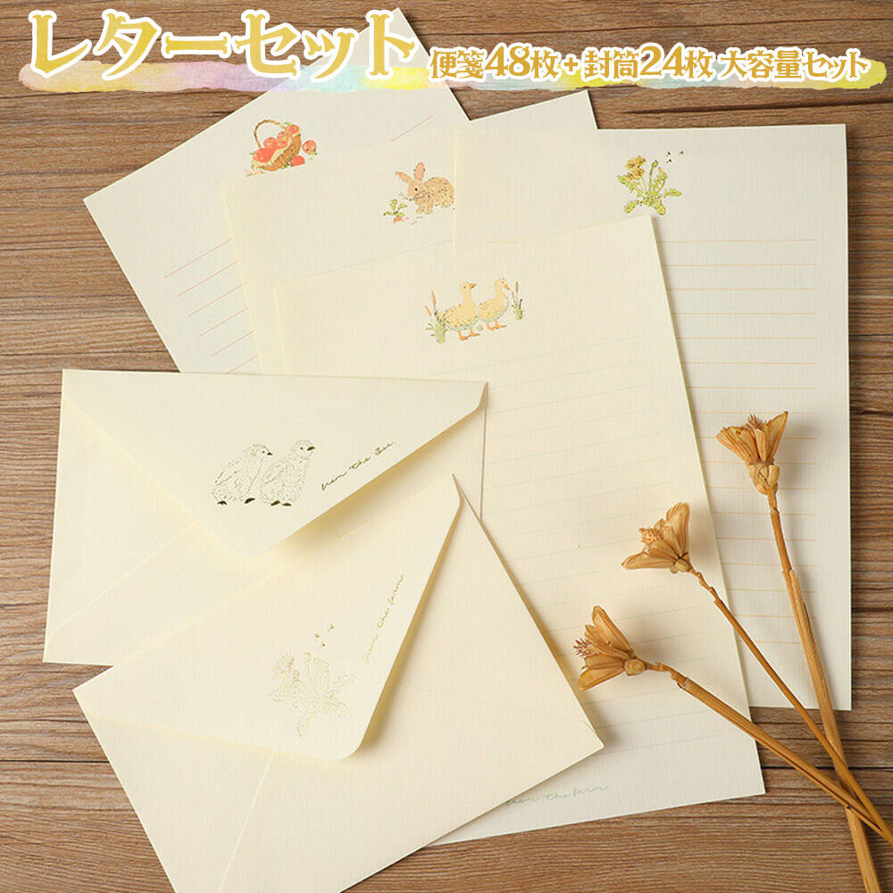 P5!!ۺûв٢쥿å   8 ( 48+ 24祻å)    /ưʪ ˥ޥ  饹 ...