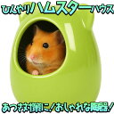 最短当日出荷◆ゴールデン ハムスター キンクマ 鳥 インコ リス ペット 小動物 ハウス ベッド 家 小屋 寝床 隠れ家 おうち クッション ベッド 陶器 グリーン 8.8×9.7×8.8cm ひんやり 冷たい 夏 暑さ 対策 涼しい 冷却 涼感