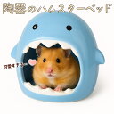 【P5倍!!】最短当日出荷◆陶器 ハムスター ゴールデン キンクマ 鳥 インコ リス 小動物 ハウス ベッド モンスター 卵型 ブルー ピンク イエロー ホワイト 夏 ひんやり 涼しい 冷却 涼感 暑さ対策 巣箱 隠れ家 おうち かわいい おしゃれ 食べられる