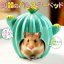 【P5倍!!】最短当日出荷◆ゴールデン ハムスター キンクマ 鳥 インコ リス ペット 小動物 陶器 ひんやり 夏 ハウス ベッド 家 小屋 寝床 隠れ家 おうち サボテン 型 形 暑さ 対策 涼しい 冷却 涼感 お城 グリーン 花 植物 アニマル